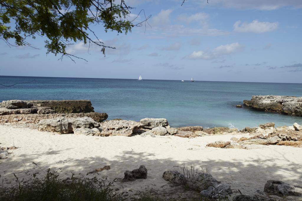 Villa Bougainvillea Aruba, The Tango Suite Palm Beach Екстер'єр фото